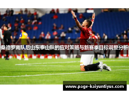 桑德罗离队后山东泰山队的应对策略与新赛季目标调整分析