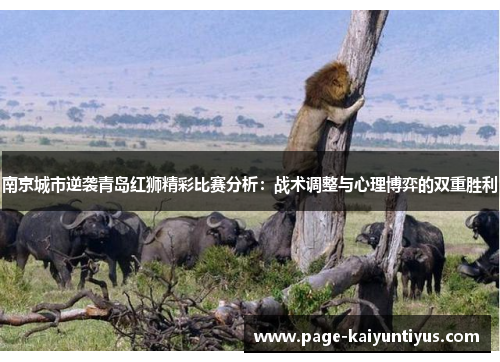 南京城市逆袭青岛红狮精彩比赛分析：战术调整与心理博弈的双重胜利