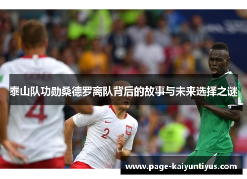 泰山队功勋桑德罗离队背后的故事与未来选择之谜