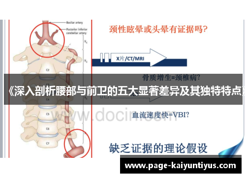 《深入剖析腰部与前卫的五大显著差异及其独特特点》