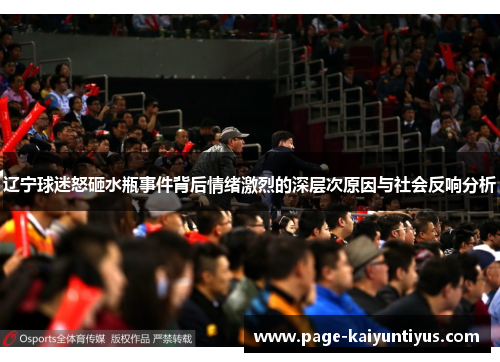 辽宁球迷怒砸水瓶事件背后情绪激烈的深层次原因与社会反响分析 辽宁球迷怒砸水瓶事件背后情绪激烈的深层次原因与社会反响分析