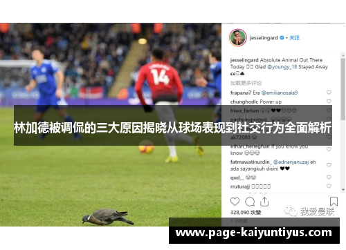 林加德被调侃的三大原因揭晓从球场表现到社交行为全面解析 林加德被调侃的三大原因揭晓从球场表现到社交行为全面解析
