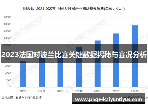 2023法国对波兰比赛关键数据揭秘与赛况分析