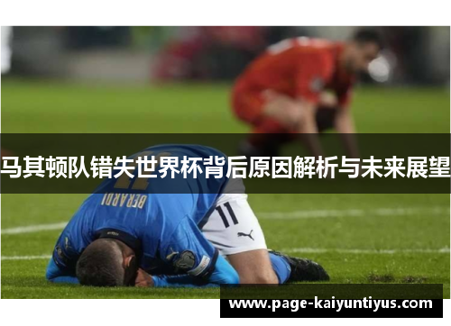 马其顿队错失世界杯背后原因解析与未来展望