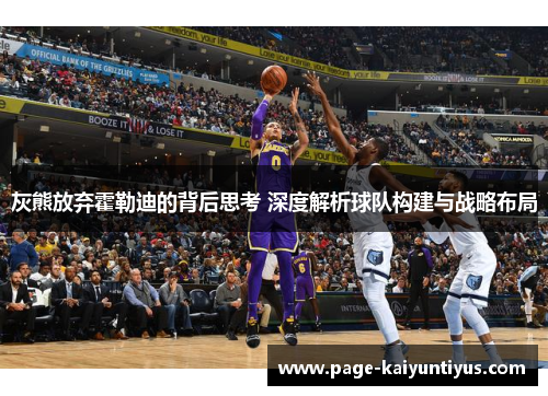 灰熊放弃霍勒迪的背后思考 深度解析球队构建与战略布局