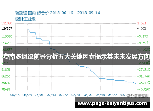 费南多退役前景分析五大关键因素揭示其未来发展方向 费南多退役前景分析五大关键因素揭示其未来发展方向