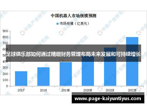 足球俱乐部如何通过精细财务管理布局未来发展和可持续增长